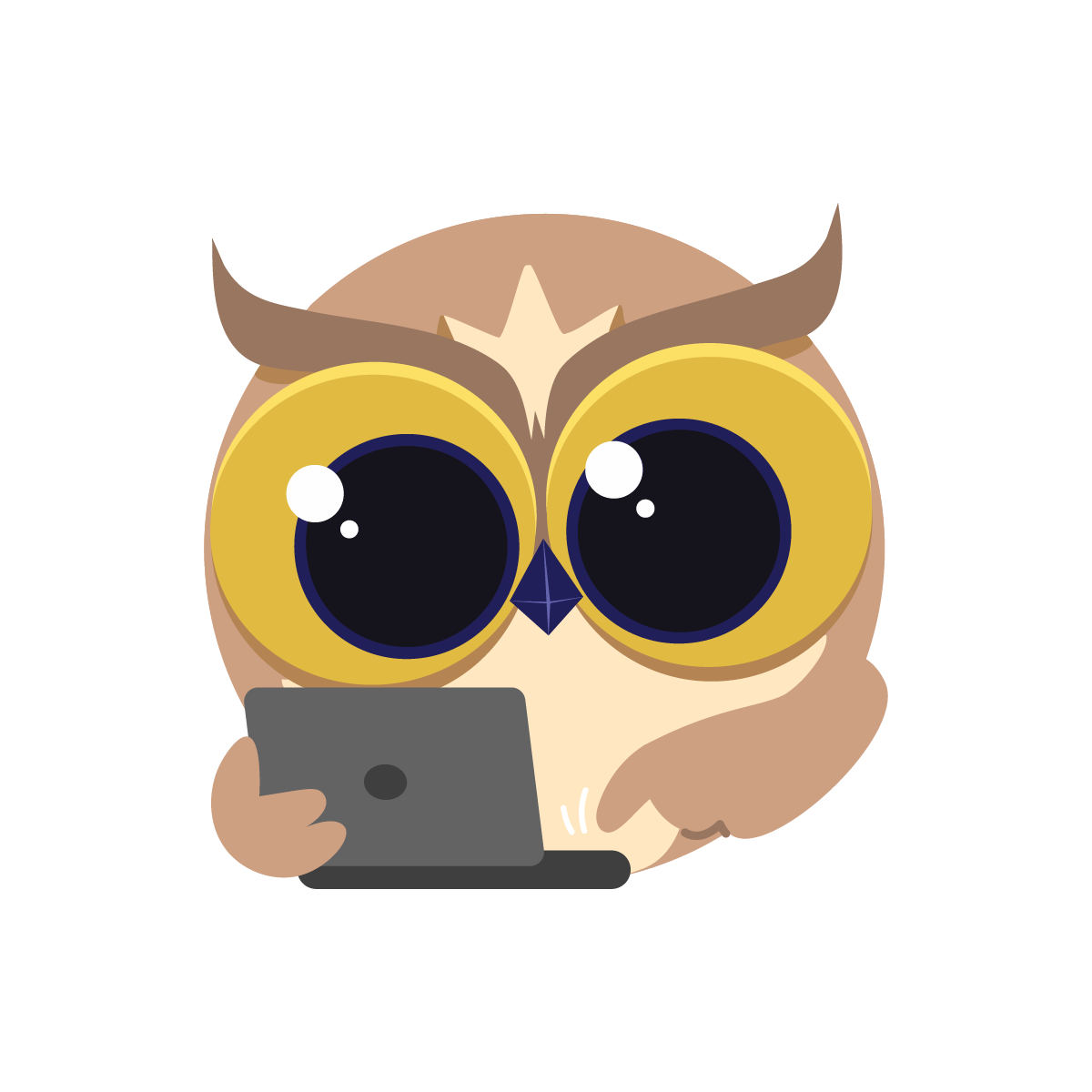 Owlie on a laptop